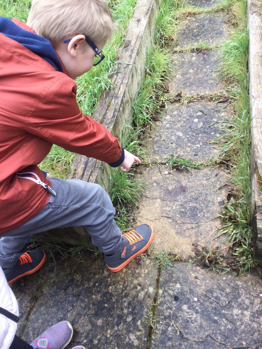 class2foxton's tweet photo. Class 2 enjoyed going on a wildlife hunt. https://t.co/BElBGHYQdO
