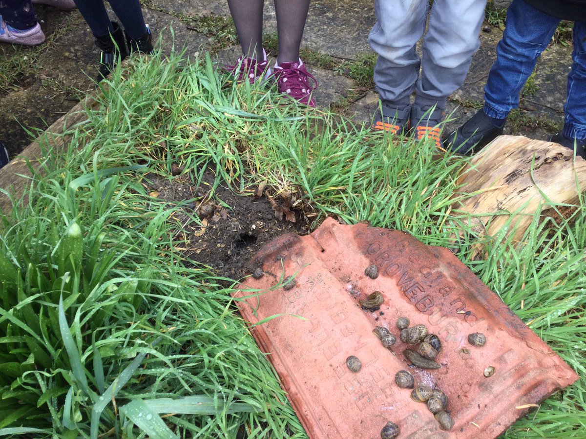 class2foxton's tweet photo. Class 2 enjoyed going on a wildlife hunt. https://t.co/BElBGHYQdO