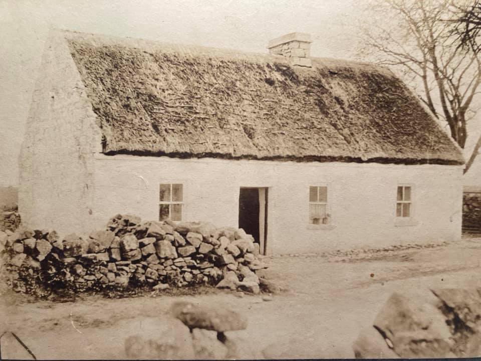 Matthew Boyle tweet media