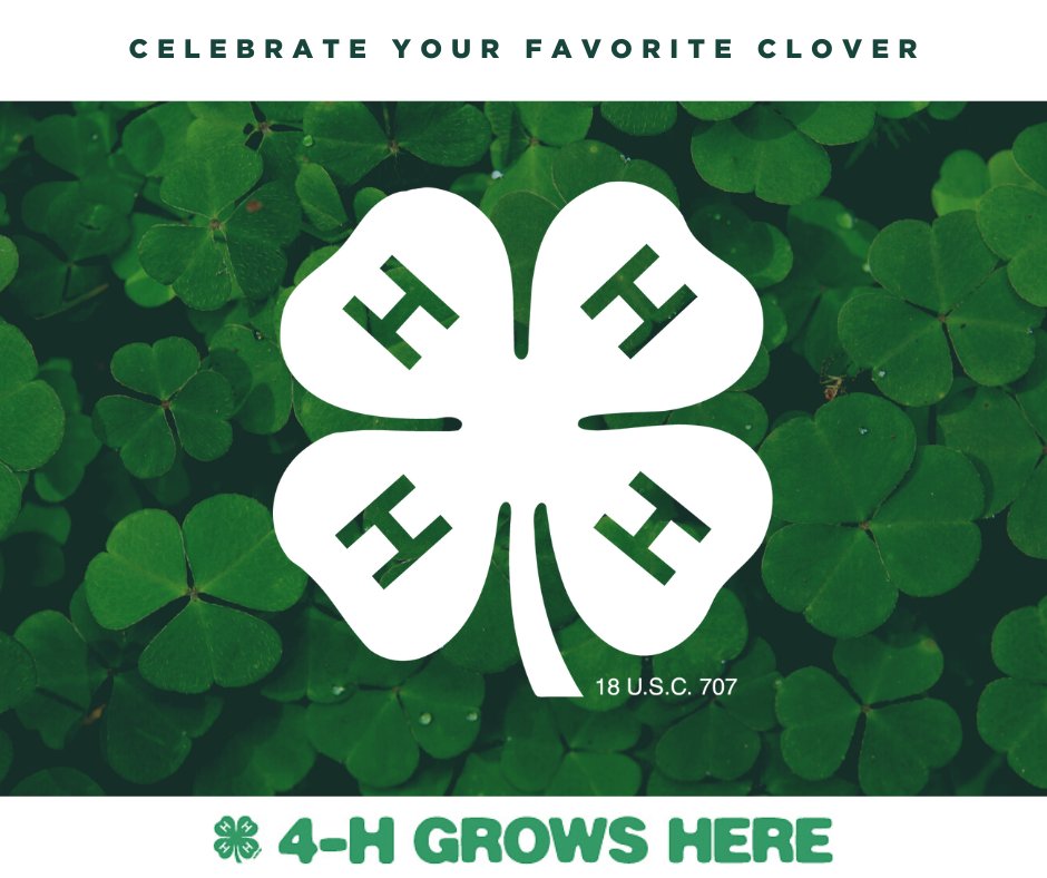 Michigan4H's tweet photo. Our favorite clover? The 4-H clover, of course! #MI4H https://t.co/YxXGHDlHFY