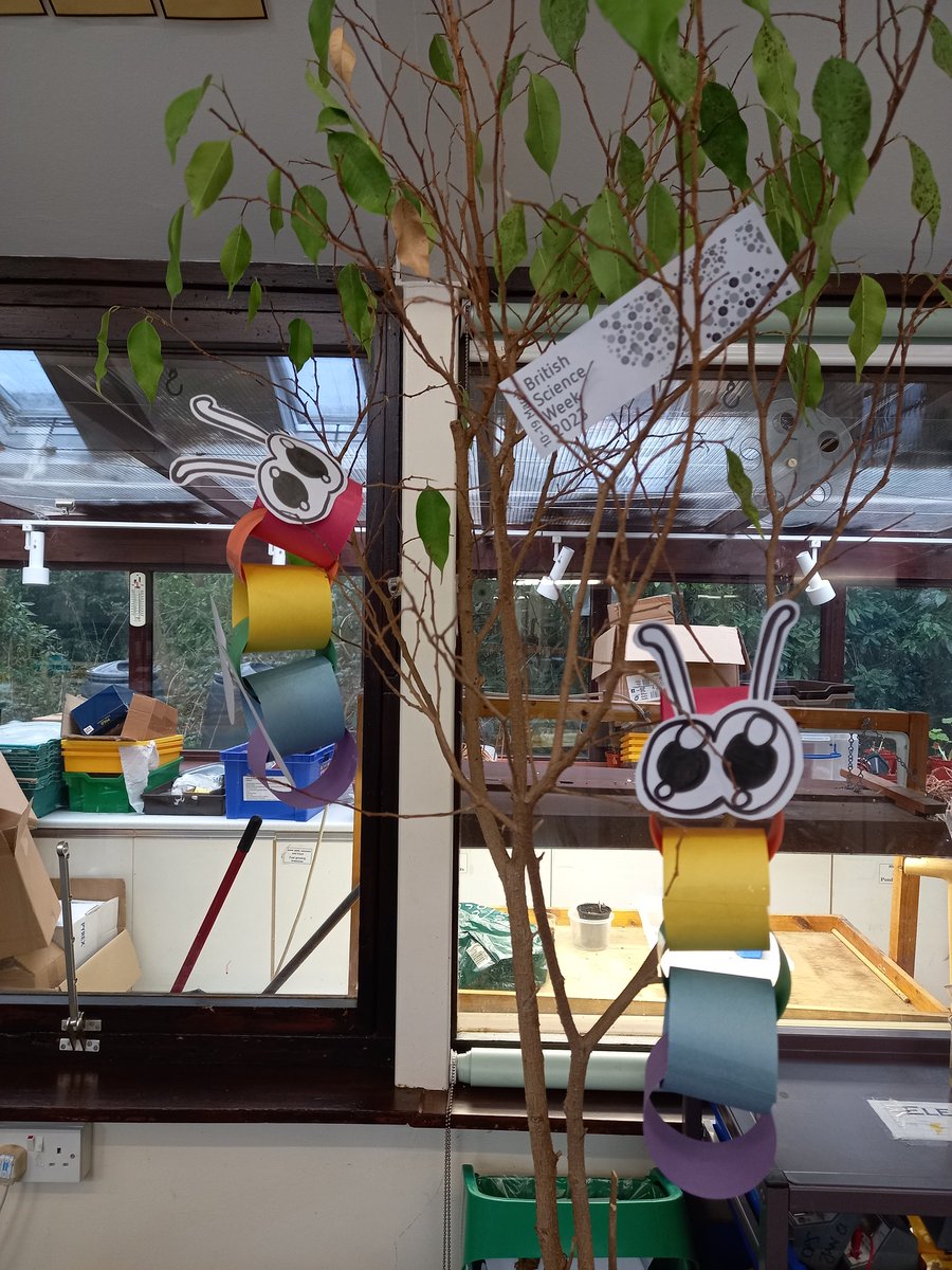 OPSScience's tweet image. Paper chain catepillars, sherbert making and a quiz end our celebrations for British Science Week #BSW2023 this year! We&apos;ve made a lot of connectios from chemical reactions to life cycles, dance mat forces to industrial uses of separation techniques. Phew! @OPS_OratoryPrep