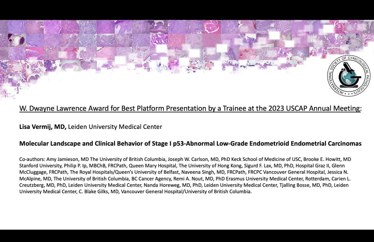 ISGynP's tweet photo. Congratulations to trainees receiving the @ISGynP  awards at the #USCAP2023 Annual Meeting! https://t.co/1tjFUSwjA0