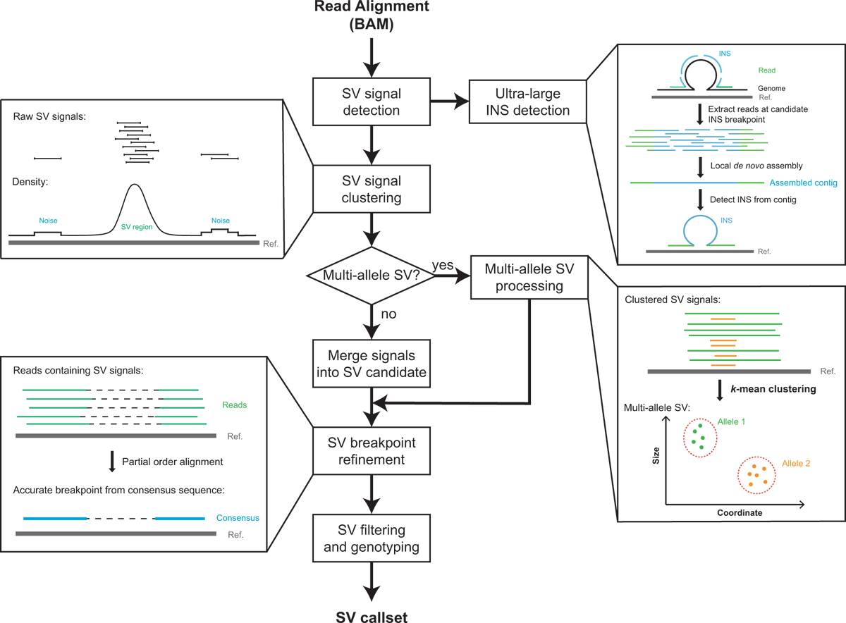 Nature Communications (@naturecomms) on Twitter photo Recently published: <a href="/ZechenChong/">Zechen Chong</a> and colleagues develop DeBreak, an algorithm for comprehensive and accurate #StructuralVariant #SV detection in #LongReadSequencing data across different platforms
#Genomics #CancerResearch <a href="/natrescancer/">Cancer at Nature Portfolio</a>
nature.com/articles/s4146… Recently published: <a href="/ZechenChong/">Zechen Chong</a> and colleagues develop DeBreak, an algorithm for comprehensive and accurate #StructuralVariant #SV detection in #LongReadSequencing data across different platforms
#Genomics #CancerResearch <a href="/natrescancer/">Cancer at Nature Portfolio</a>
nature.com/articles/s4146…