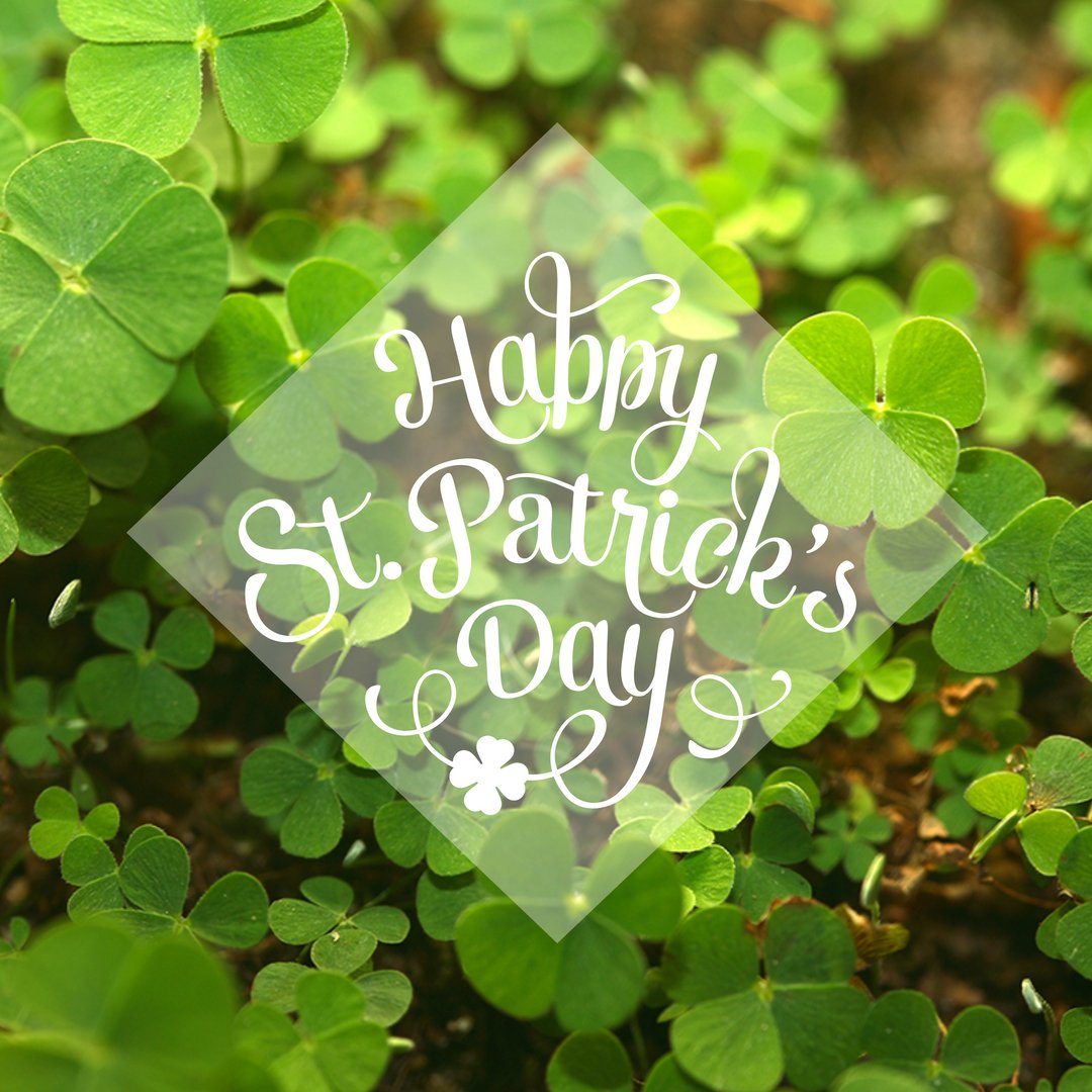 TrinaWinford's tweet photo. #stpatricksday https://t.co/95hHKh9WkF