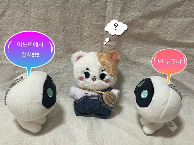 석토리/석멍이 tweet media