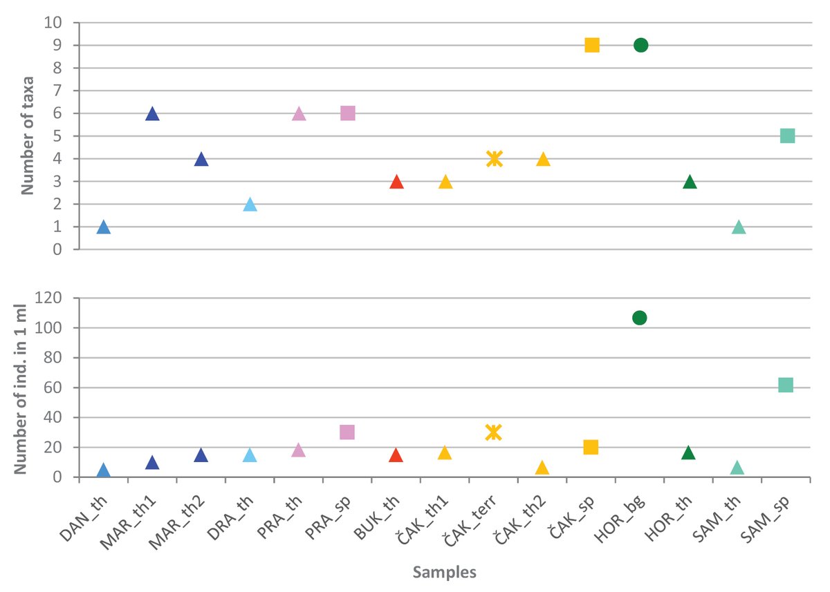 subtbiol's tweet image. Cave habitats in the Lika region, Croatia were compared based on testate #amoebae assemblages and presence of the endangered #cave #bivalve Congeria jalzici. More than 40 testate amoebae taxa were found, including a #newspecies P. dinarica: doi.org/10.3897/subtbi…