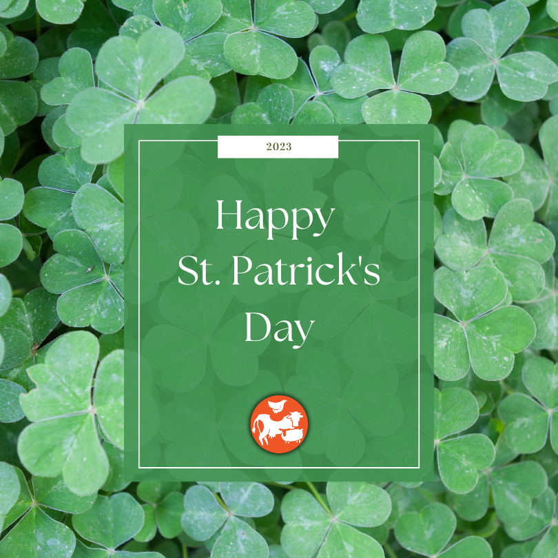 Happy St. Patrick's Day! "Here’s to eyes in your heads and none in your spuds!"