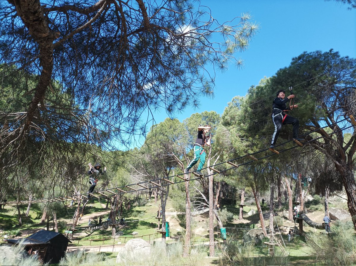 GemaRodrguezPu1's tweet photo. La FP Básica al completo del @ies_luisvives ha pasado una jornada de convivencia estupenda en plena naturaleza. Una actividad que sostiene nuestro proyecto de  @RedMadTolerante educando en la tolerancia y con el acompañamiento de @aidejoven. Iniciativas así nos hacen crecer. https://t.co/EHP2tn6QgW