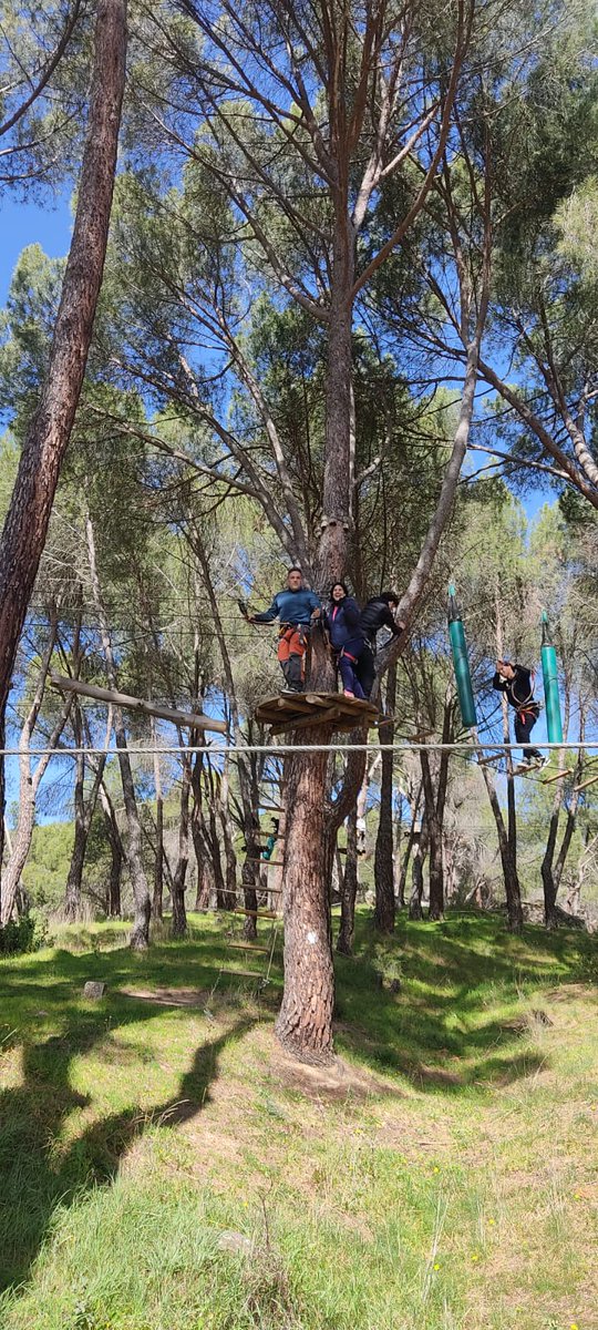 GemaRodrguezPu1's tweet photo. La FP Básica al completo del @ies_luisvives ha pasado una jornada de convivencia estupenda en plena naturaleza. Una actividad que sostiene nuestro proyecto de  @RedMadTolerante educando en la tolerancia y con el acompañamiento de @aidejoven. Iniciativas así nos hacen crecer. https://t.co/EHP2tn6QgW