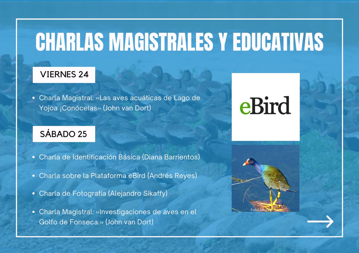 AvesHonduras's tweet photo. Al inscribirte al Encuentro Nacional Aves Honduras 2023 podrás disfrutar de actividades inolvidables. ¡No pierdas tu cupo, inscríbete ya! https://t.co/1aiX1TIDq9
#aveshonduras #aves #honduras #aviturismo #PANACAM #charlas https://t.co/HkicvYRtAQ