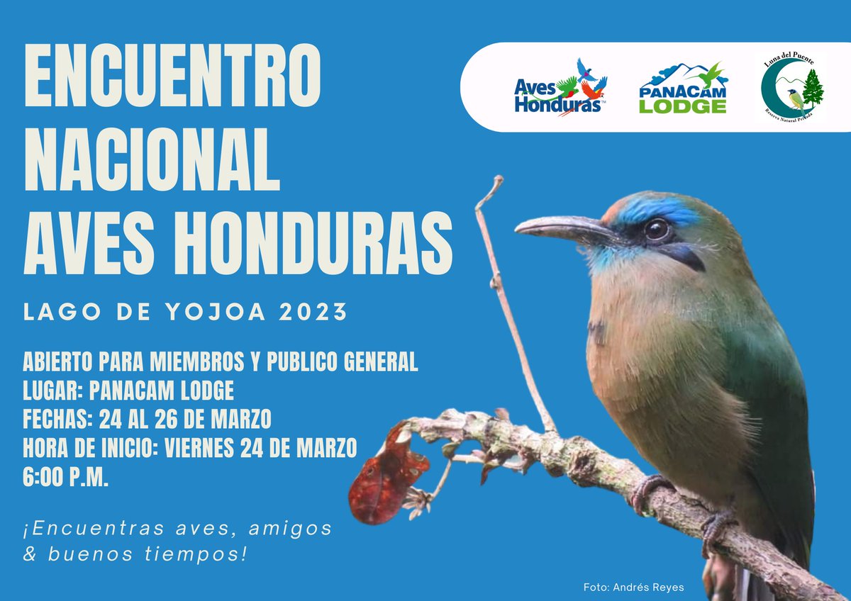 AvesHonduras's tweet photo. Al inscribirte al Encuentro Nacional Aves Honduras 2023 podrás disfrutar de actividades inolvidables. ¡No pierdas tu cupo, inscríbete ya! https://t.co/1aiX1TIDq9
#aveshonduras #aves #honduras #aviturismo #PANACAM #charlas https://t.co/HkicvYRtAQ