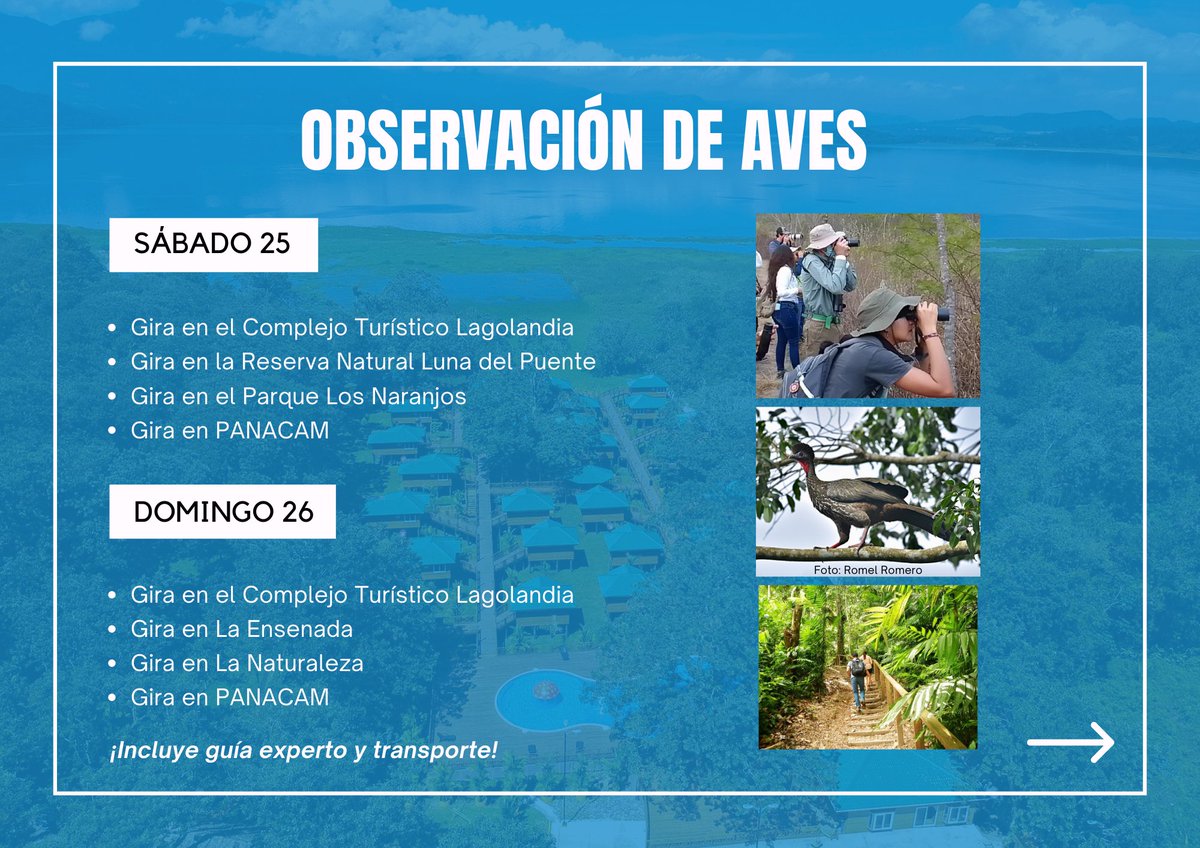 AvesHonduras's tweet photo. Al inscribirte al Encuentro Nacional Aves Honduras 2023 podrás disfrutar de actividades inolvidables. ¡No pierdas tu cupo, inscríbete ya! https://t.co/1aiX1TIDq9
#aveshonduras #aves #honduras #aviturismo #PANACAM #charlas https://t.co/HkicvYRtAQ