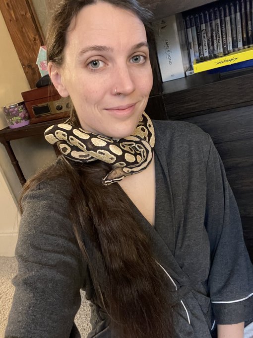 Good morning ☀️ 🐍 https://t.co/PgVTDd3O7W