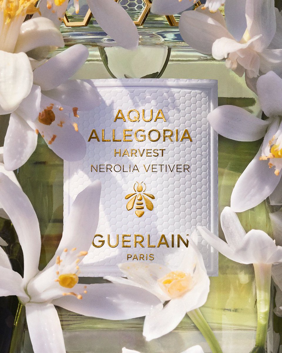 Guerlain's tweet photo. 🌎📍 Cap Bon, Tunisia​

Woody, fresh, Nerolia Vetiver Harvest weaves new connections between lush Tunisian neroli and bright, floral orange blossom honey from the Guerlain hives in Calabria. A tale of two continents, of two exquisite flowers, captured by the Maison's expert harvesters and bottled by the Guerlain Perfumers.

#Guerlain