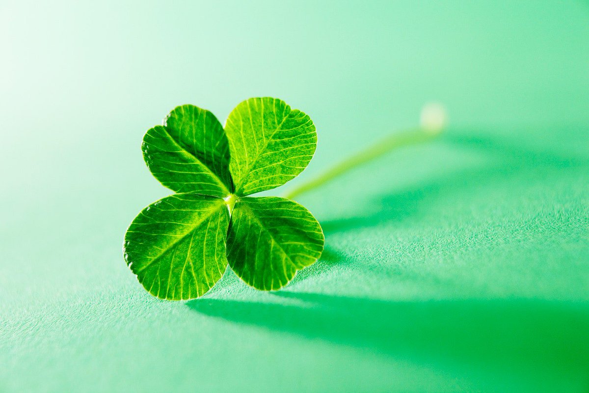 Happy St. Patrick’s Day! #inflightforyourlife #StPatricksDay