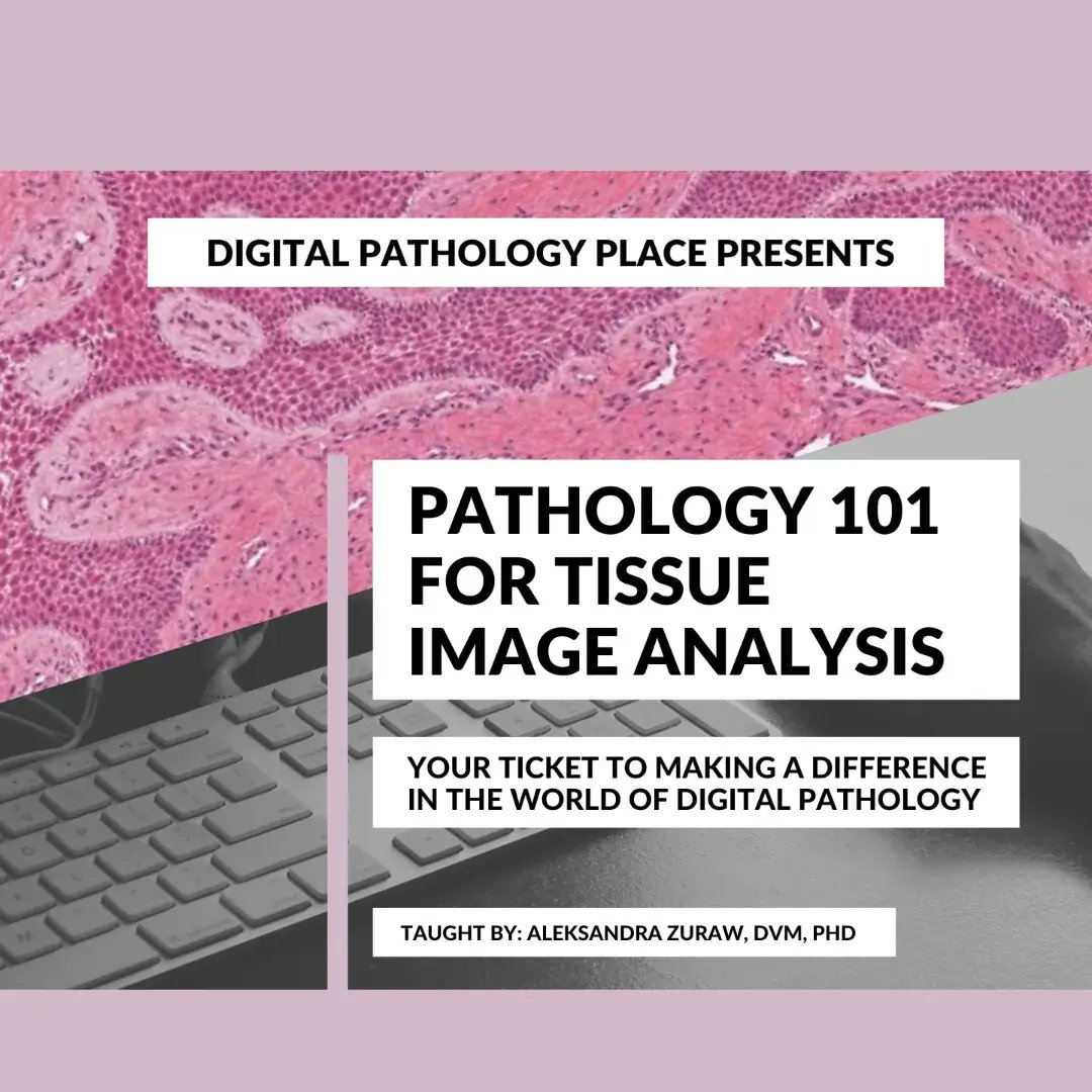 I wasn't always a pathologist

And when I was in the process of becoming one

-------------------------------
#digitalpathology
#computationalpathology
#pathologyinformatics
#onlinecourse
#pathology