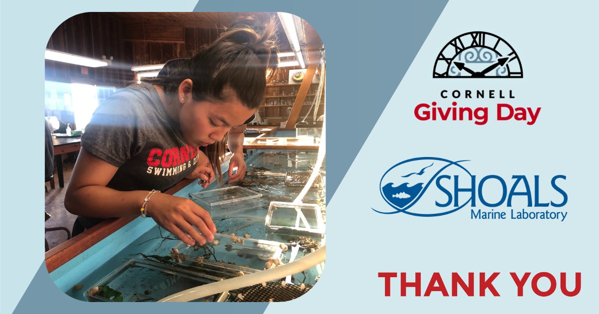 What an amazing #CornellGivingDay! It wouldn’t have been possible without your generosity. We had 81 gifts from 81 donors and raised a total of $30,962! Thank you for joining us to make a difference for Shoals!