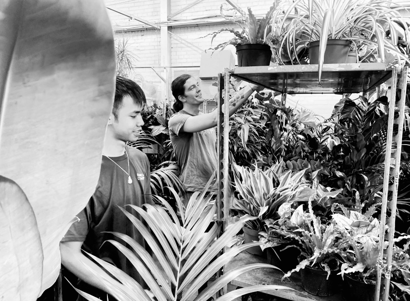 Botanical Designs tweet media