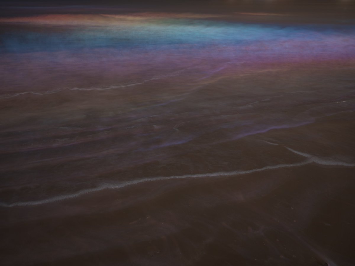 AndyFelthamArt's tweet photo. gm n 🌈happy 🌈friday
time to squeeze a nap in 💤
#seais🌈 #otherworlds https://t.co/msox69FSnh