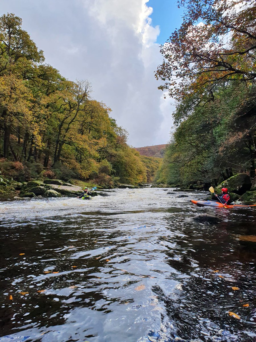 River Collective tweet media