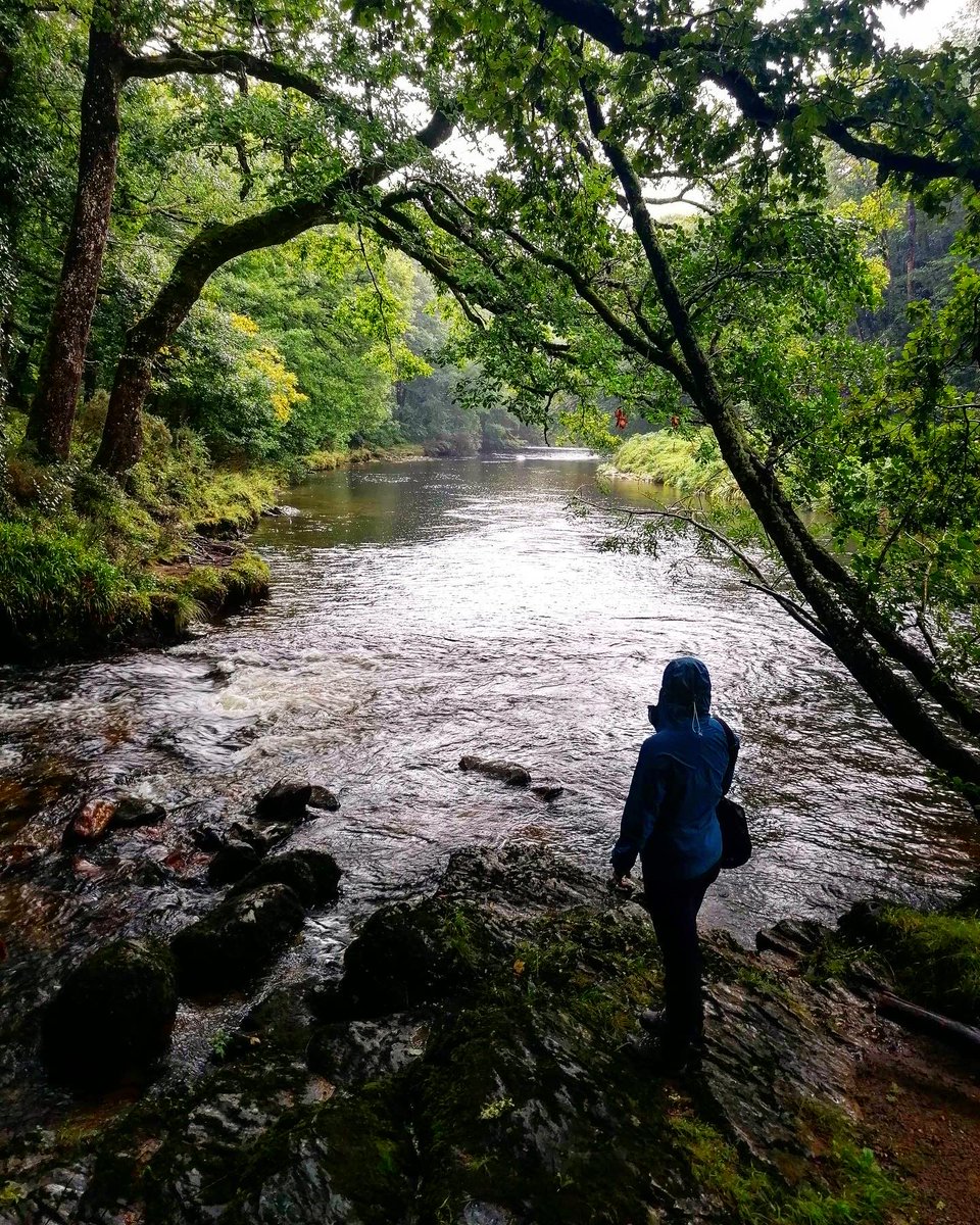 River Collective (@collectiveriver) on Twitter photo Introducing the River Dart, in Devon, UK, where this year’s SRC will be taking place.
Rising in Dartmoor National Park, its supports diverse ecosystems including moorland, temperate rainforest, estuarine rocky shores and coastal saltmarshes.
<a href="/SchumacherColl/">Schumacher College</a> <a href="/rory_dewerstone/">dewerstone</a> Introducing the River Dart, in Devon, UK, where this year’s SRC will be taking place.
Rising in Dartmoor National Park, its supports diverse ecosystems including moorland, temperate rainforest, estuarine rocky shores and coastal saltmarshes.
<a href="/SchumacherColl/">Schumacher College</a> <a href="/rory_dewerstone/">dewerstone</a>
