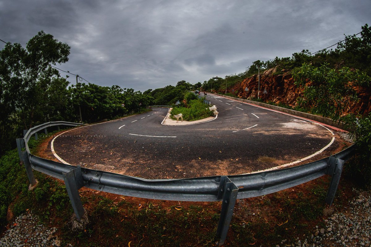 camera_baba's tweet image. It is God to whom and with whom we travel, and while He is the end of our journey, He is also at every stopping place.

#camerababa #lina #photography #travelphotos @Nature #landscapephotography #odisha #bhubaneswar #photographers
