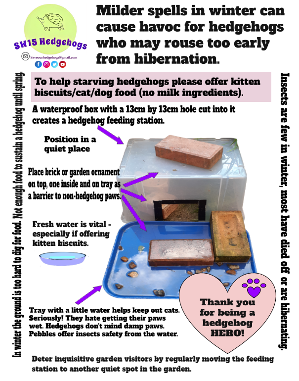 SW15 Hedgehogs tweet media