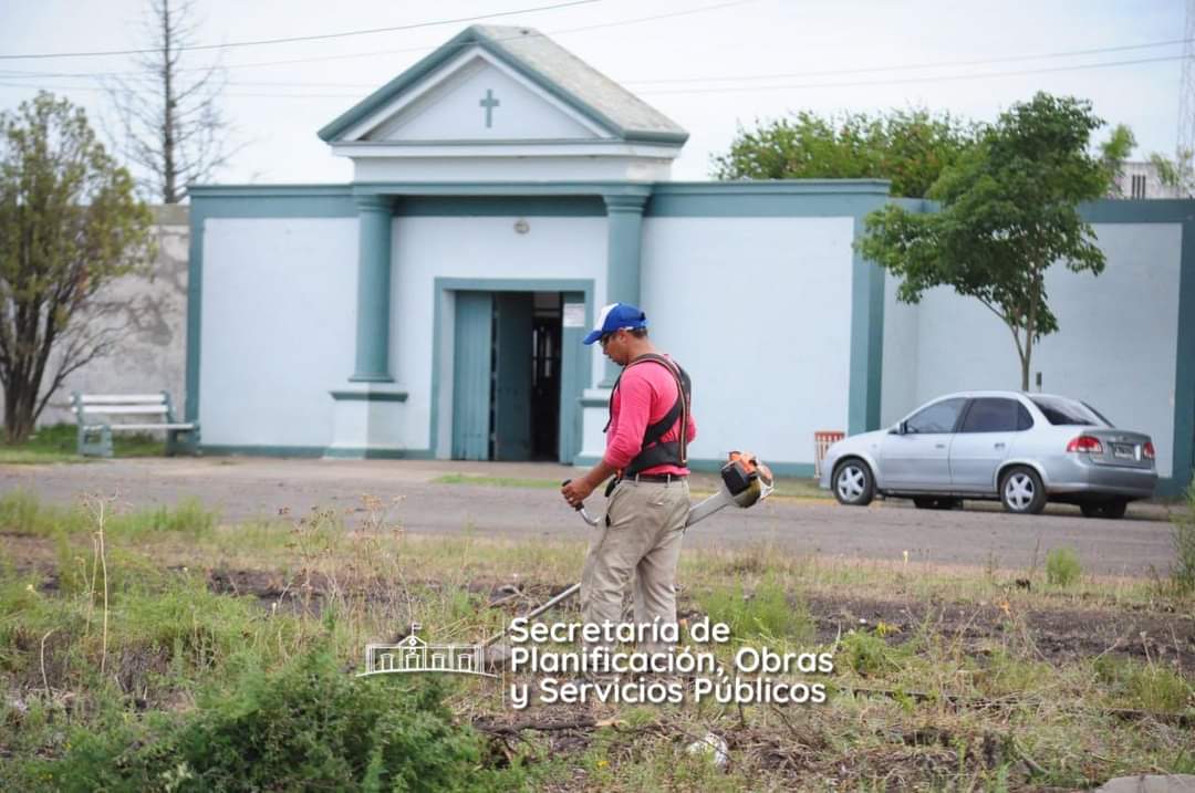 Federal Municipio tweet media