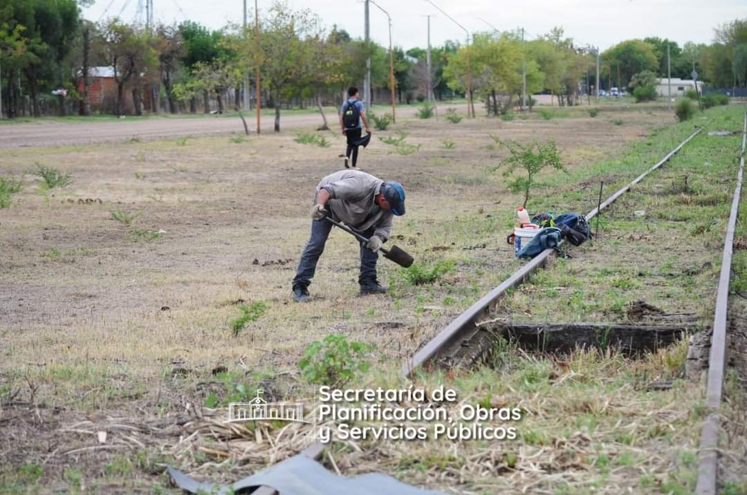Federal Municipio tweet media