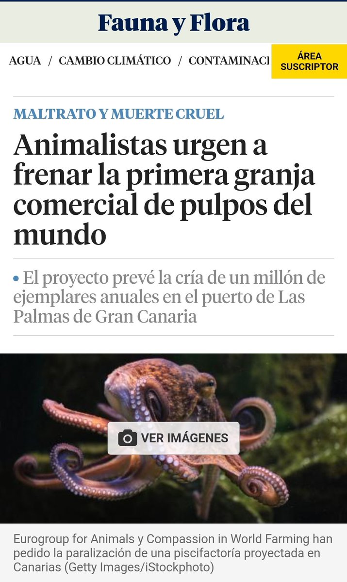 Hay que parar esto y hay que hacerlo ya.