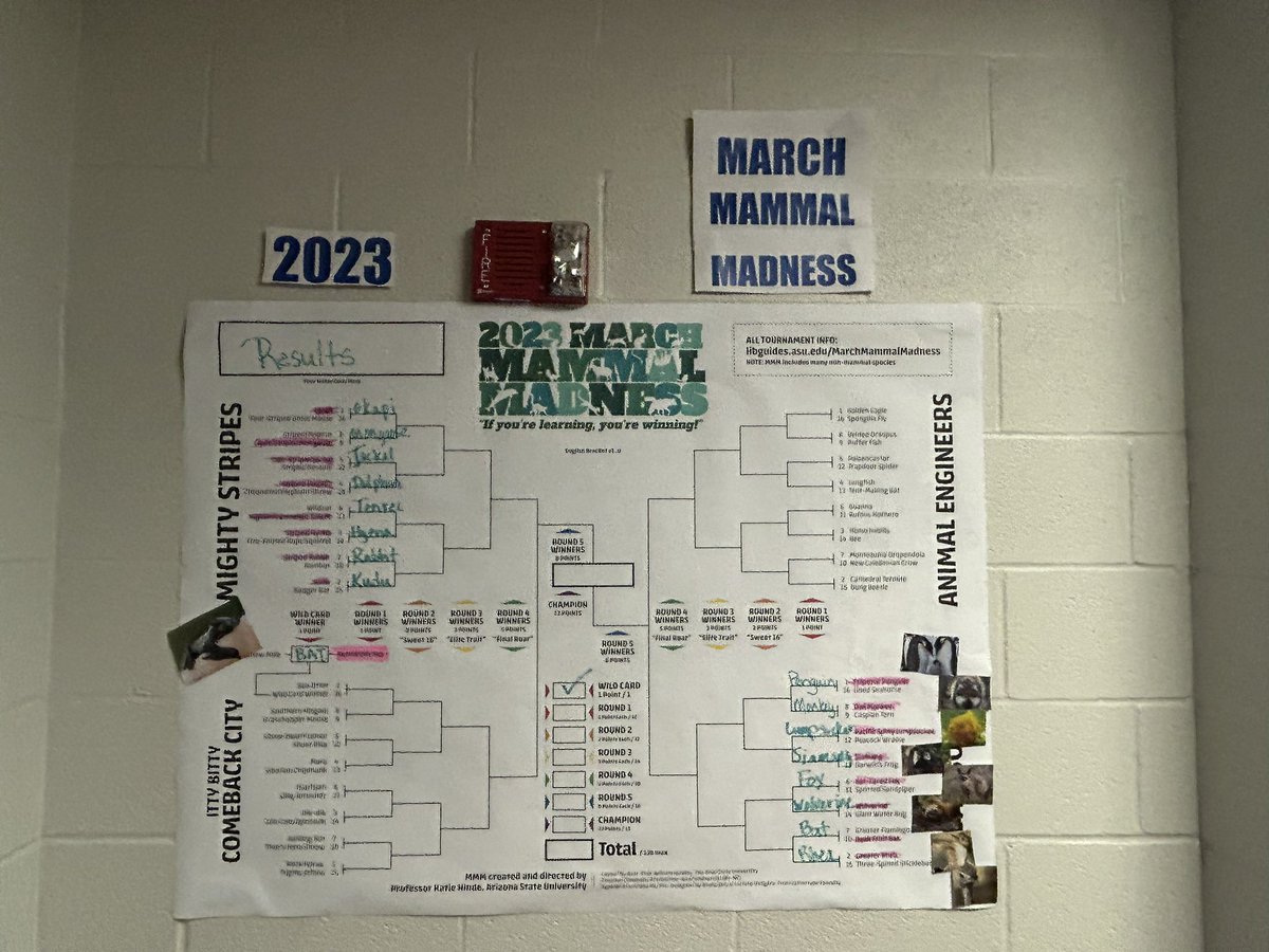 6RedScienceD56's tweet photo. March Mammal Madness is in full swing! The hype is real!! If you are learning, you are winning! #ifyouarelearningyouarewinninh #mmm2023 #scienceiscool #d56achieves https://t.co/J2ALOa5GX0