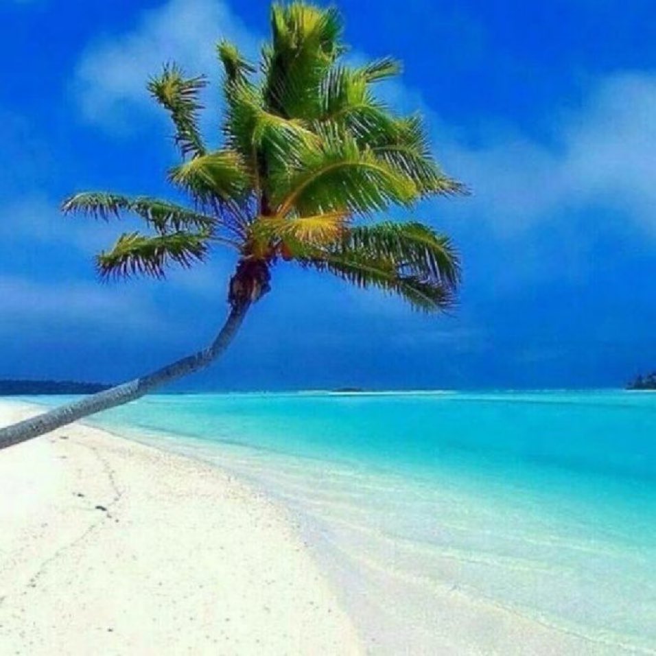 OvationPanama's tweet photo. “Imagine a turquoise archipelago with one island for every day of the year. With white sand and waving palms, these Caribbean islands cheat no one’s version of Paradise. San Blas is Home to the Kuna, an autonomous indigenous group who run San Blas..”

Lonely Planet #Panama https://t.co/9auN1HOLNm