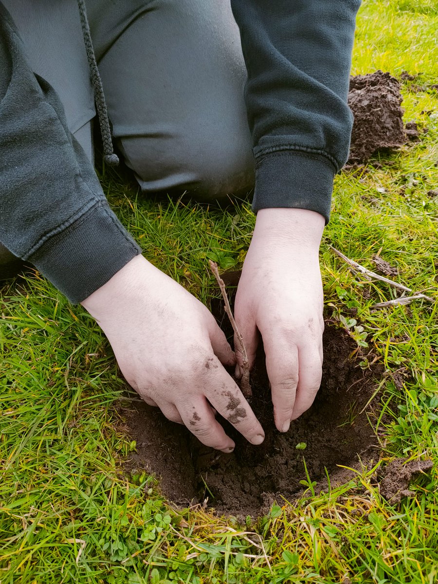 Fraserburgh_ASL's tweet photo. A lovely end of the week planting our @WoodlandTrust trees. Varieties include Hawthorn, Dogwood, Silver Birch, Oak, Hazel, Blackthorn, Cherry, and Rowan. 
@LfSScotland @ELiveseyScience @FraserburghAcad #outdoorlearning #treesforschools #brilliantbroch https://t.co/tTIcoCjPZU
