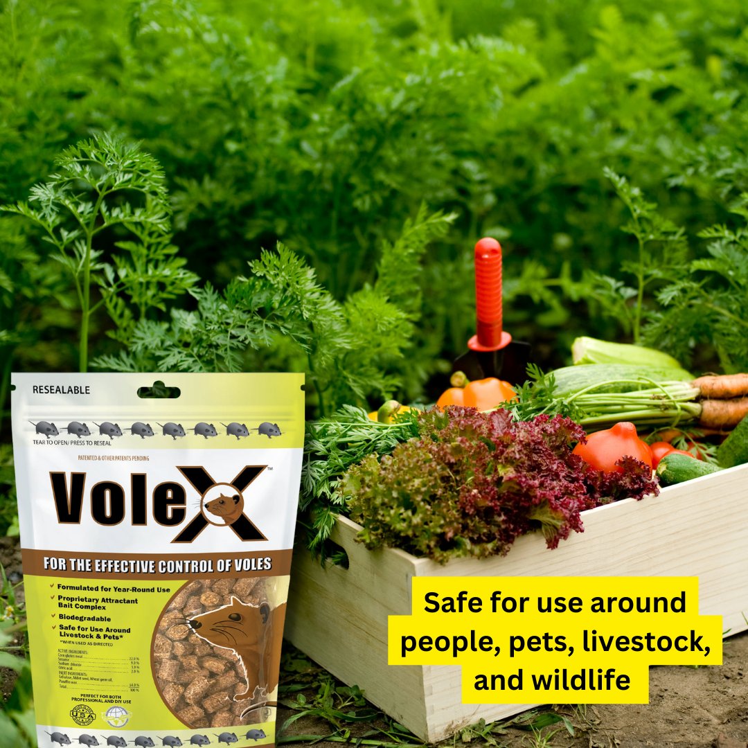Vole season is around the corner; are you prepared?

Formulated using naturally-derived ingredients, VoleX® kills all species of voles and is safe for the environment. 

What are you waiting for? Shop VoleX® Now:

ecoclearproducts.com/products/volex