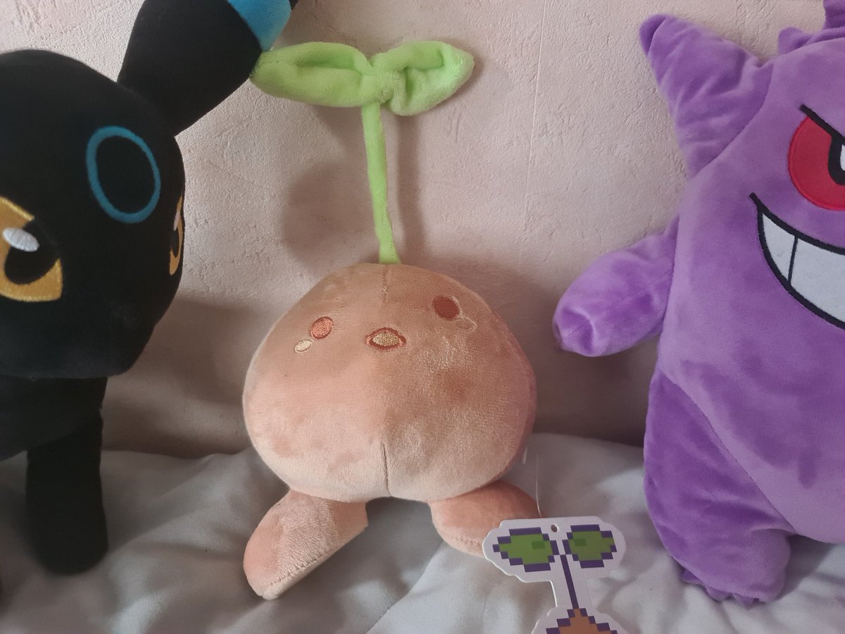 dramelko's tweet photo. He finally arrived ( ´∇` ) https://t.co/LkqOGd31hH