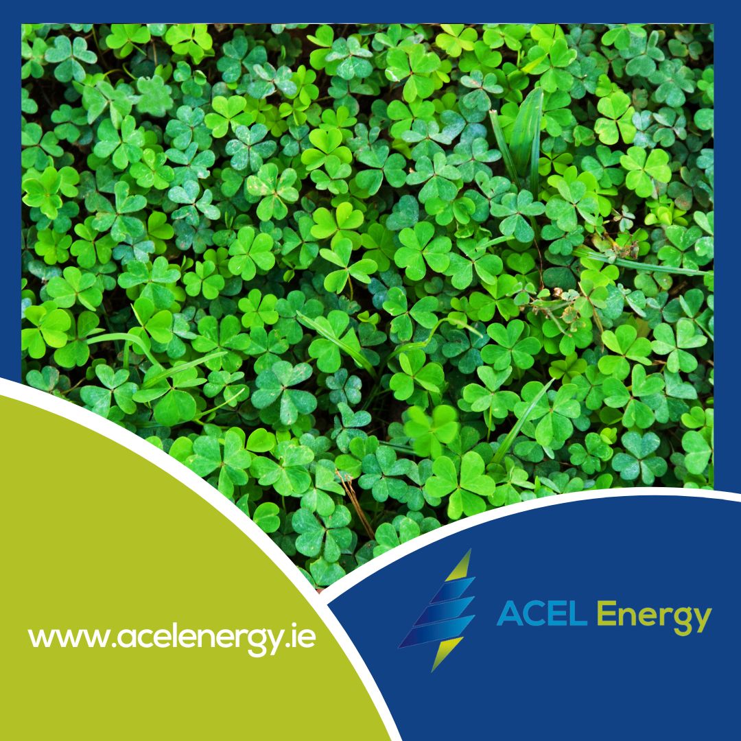acelenergy's tweet photo. ☘️Today it's all about the green!☘️ 
Happy St. Patrick's Day to you all from ACEL Energy. 
☘️Beannachtaí na Féile Pádraig ó ACEL Energy!☘️

#stpatricksday #acelenergy #solarenergy #greenenergy #environment
#solarpanel #climatechange #sustainability #sustainableliving https://t.co/iHtETIkfz8
