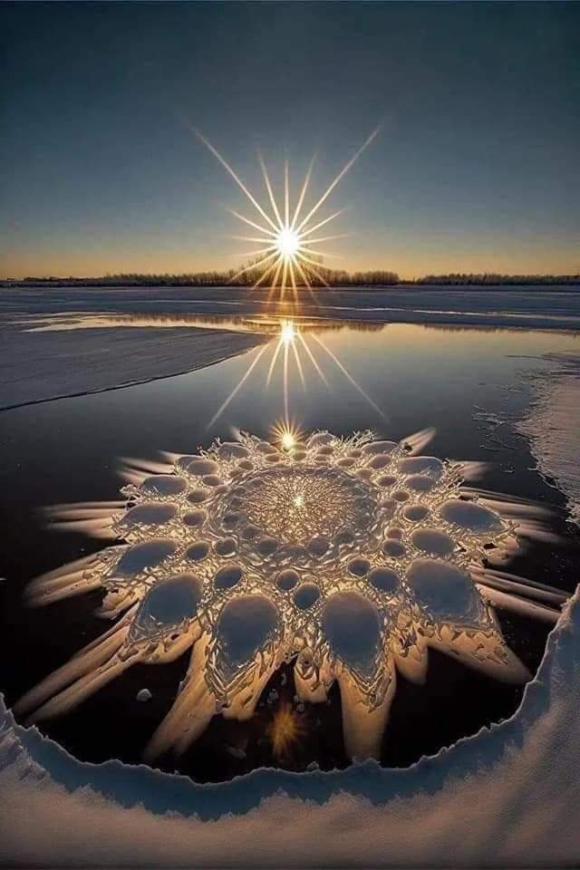 آلُـِـِِـِِِـِِـِـعٌـِـِِـِـآشُـُـُُـُقٌـ🖤 tweet media