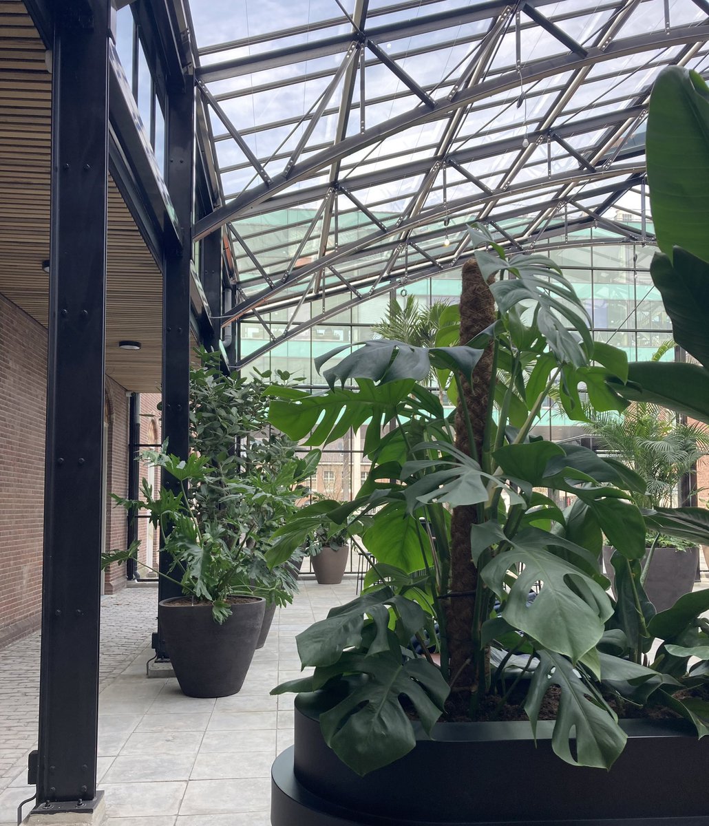 MerelMulders's tweet photo. Breda is weer supermooie plek rijker! #BredaBotanique #Rijksmonument #Wonen #Hotel #restaurant #Filmhuis #Stadsarchief https://t.co/MIXE6DUfSV