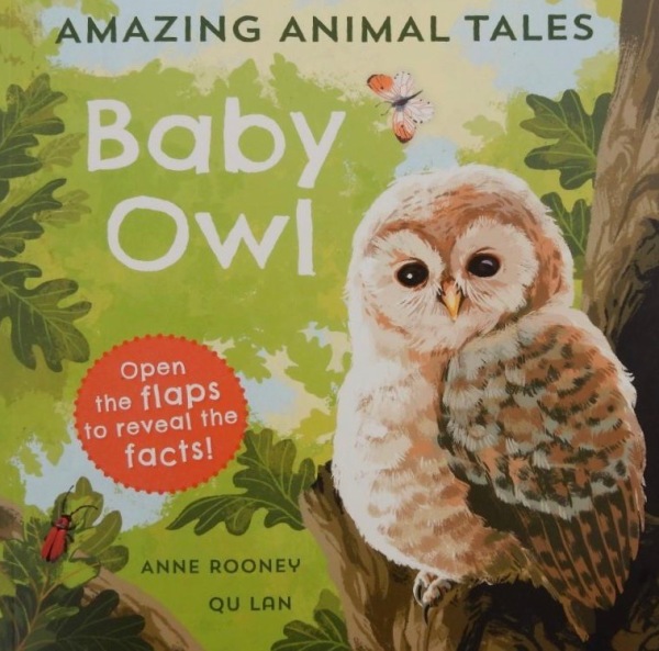 JillBennett18's tweet image. Beautifully illustrated and perfectly pitched for young children #BabyOwl @annerooney @qulan_ @OxfordChildrens - a narrative nonfiction #picturebook - it’s reviewed today on #RedReadingHub blog  wp.me/p11DI5-aLO