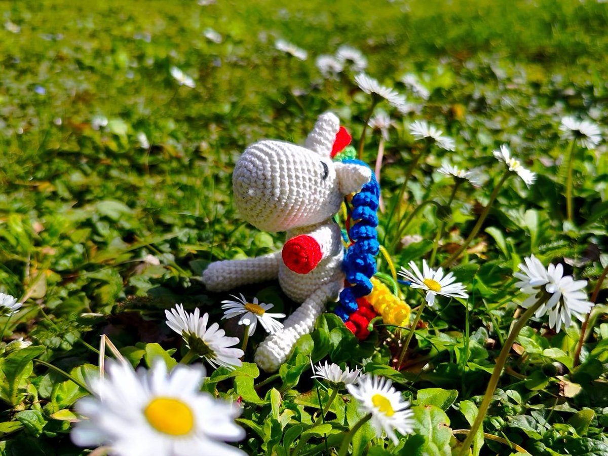 maeuerle25's tweet photo. https://t.co/1133WYj4kk

#maschenmassen #häkeln #amigurumi #handarbeitsclub #häkelnmachtglücklich #häkelnistwiezaubernkönnen #häkelnmachtsüchtig #häkelnistmeinyoga #einhorn #fee https://t.co/T9arQZvZhu