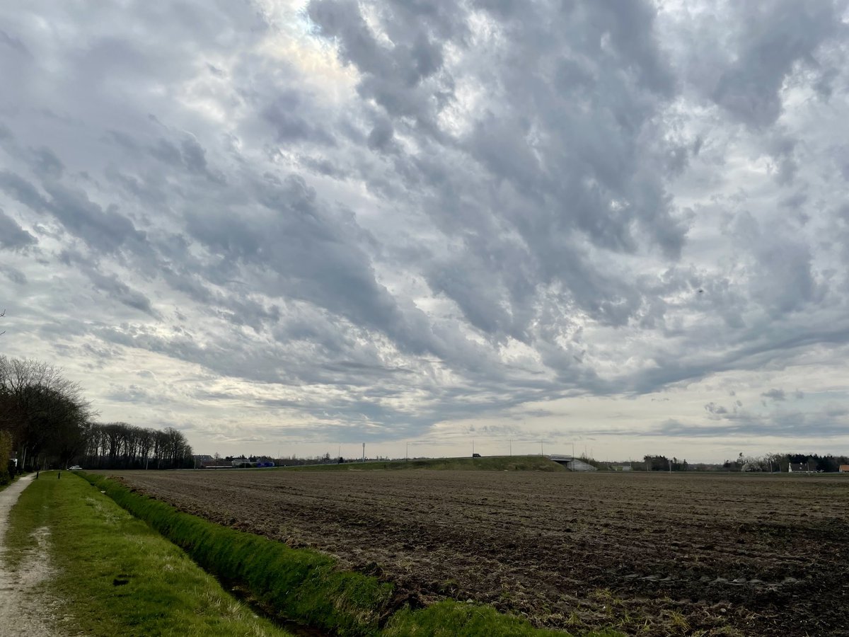 EddyMisman's tweet photo. #vrtweer ⁦@BuienradarBE⁩ ⁦@HetweerinBelgie⁩ ⁦@Beernem⁩ 13u00. Ideaal weertje voor een #natuurloop 👌🏼🏃‍♂️ https://t.co/OOv3PsWe16