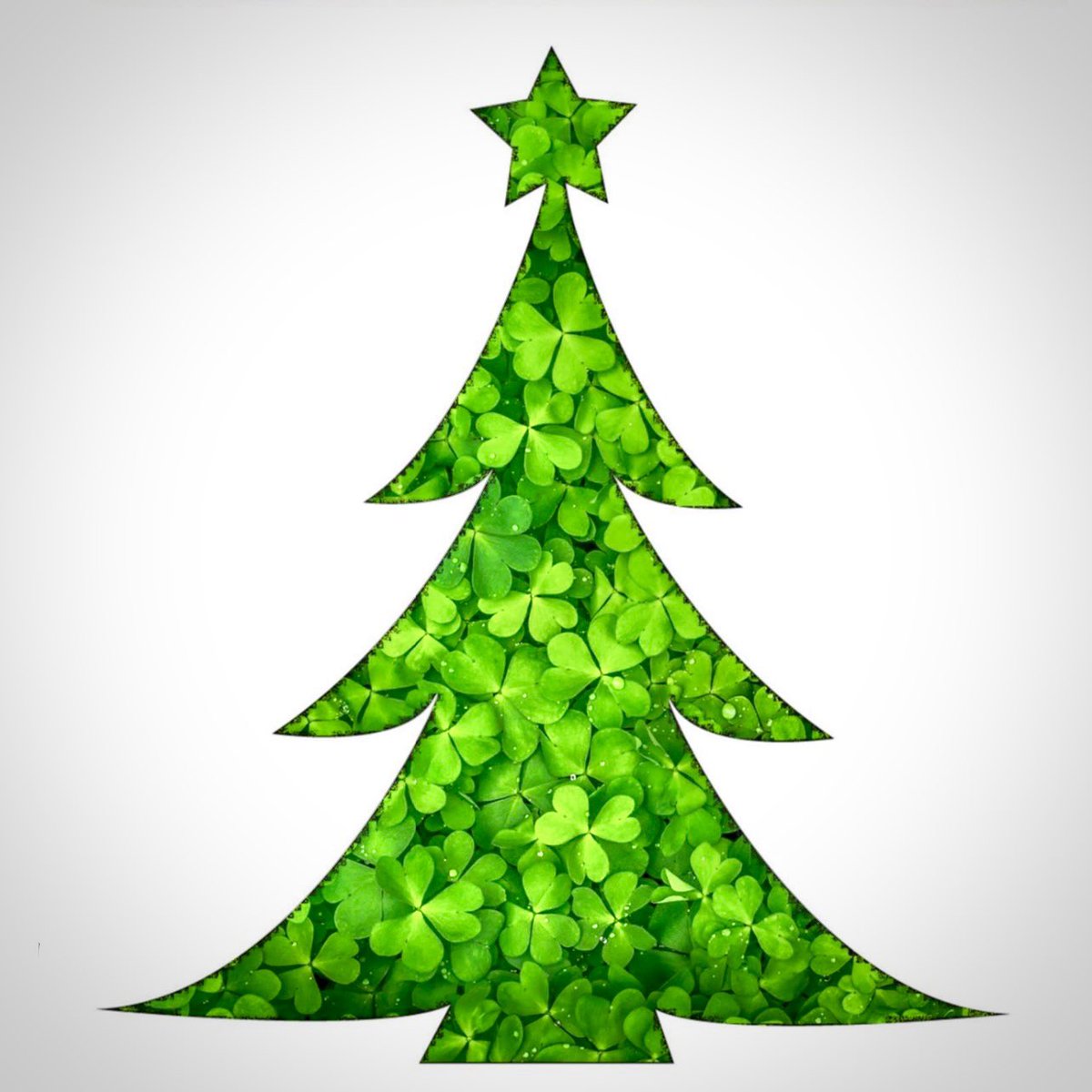 Happy St. Patrick's Day! Today we’re feeling extra lucky that we get to decorate your homes &amp; businesses this holiday season! ☘️ 

 #StPatricksDay #ChristmasDecorating #LuckOfTheIrish #Holidays #business #lucky #shamrock #luck #stpaddysday