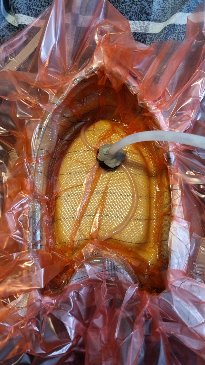 CyberHooves tweet media