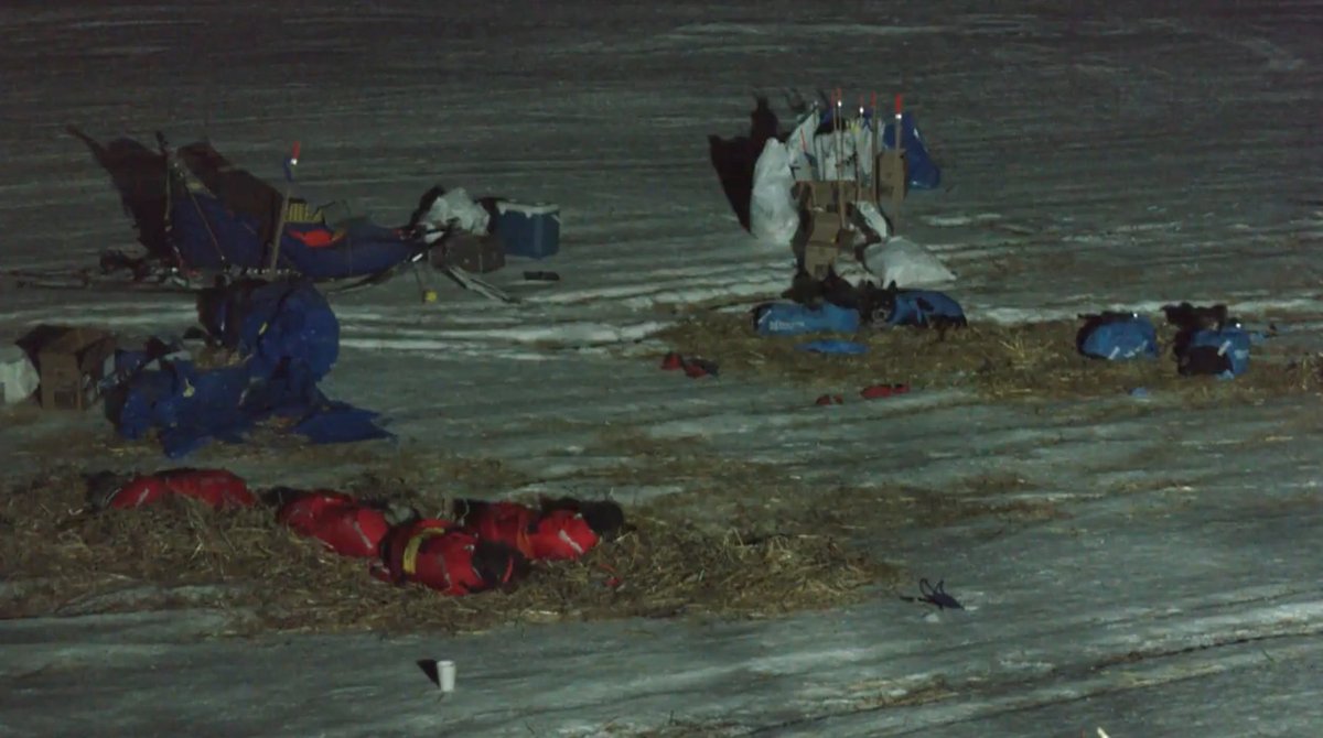 FionaWonderCat's tweet photo. Snoozin at White Mountain! I believe that's #JasonMackey's team on the left in red and #JedStephensen's on the right in blue.
#MusherTwitter https://t.co/34PeVVutGE
