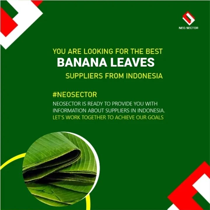 neo_sector's tweet image. Our banana leaves are not only beautiful but also edible! Use them as a cooking vessel or wrap for a delicious and authentic Indonesian experience.  

#EdibleWrapping #AuthenticCuisine 
#neosector #IndonesiaBananaLeaves #bananaleaf #SustainablePackaging #EcoFriendly #B2B