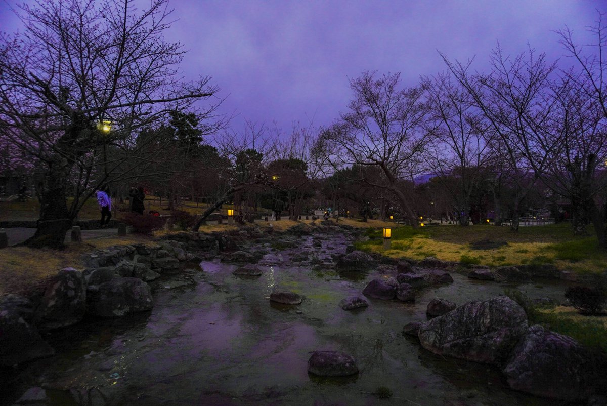 Allen__life's tweet photo. 今日ここで写真を撮らせてくれた方
ごめんなさい写真をお渡しできてないです。気付いたら連絡お願いします🙇‍♂️
#京都 #八坂神社 https://t.co/hq4NN6Aax1