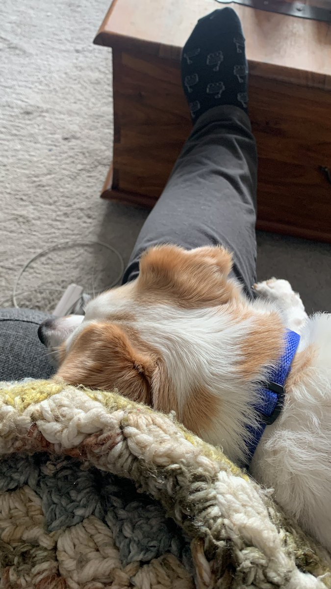 I sat down. Just for a second. I can’t disturb this little guy. But my phone needs charging!