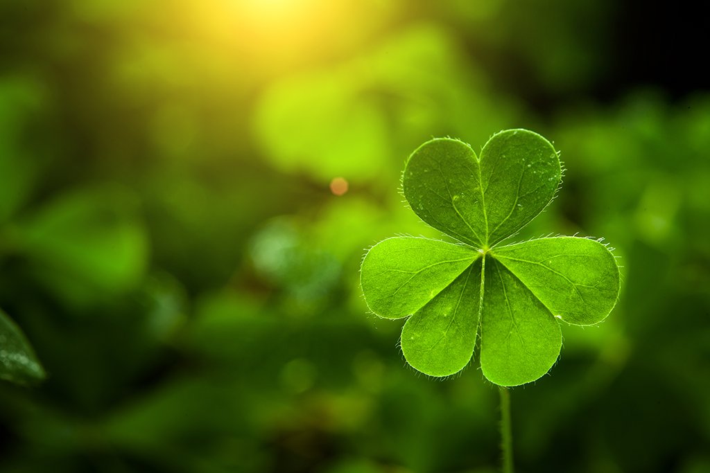 jdrconsults's tweet photo. A good consultant is like a four-leaf clover: hard to find &amp; lucky to have. Considering enlisting the help of a technology consulting firm like @jdrconsults  but aren’t fully convinced? Check out the benefits of engaging a professional consulting firm. https://t.co/5dCZyZK2Hw https://t.co/bb3c28bYJm