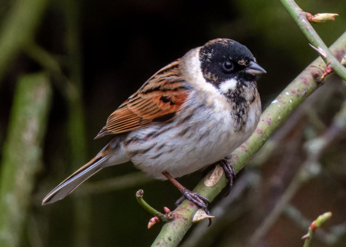 Livinteresting tweet media