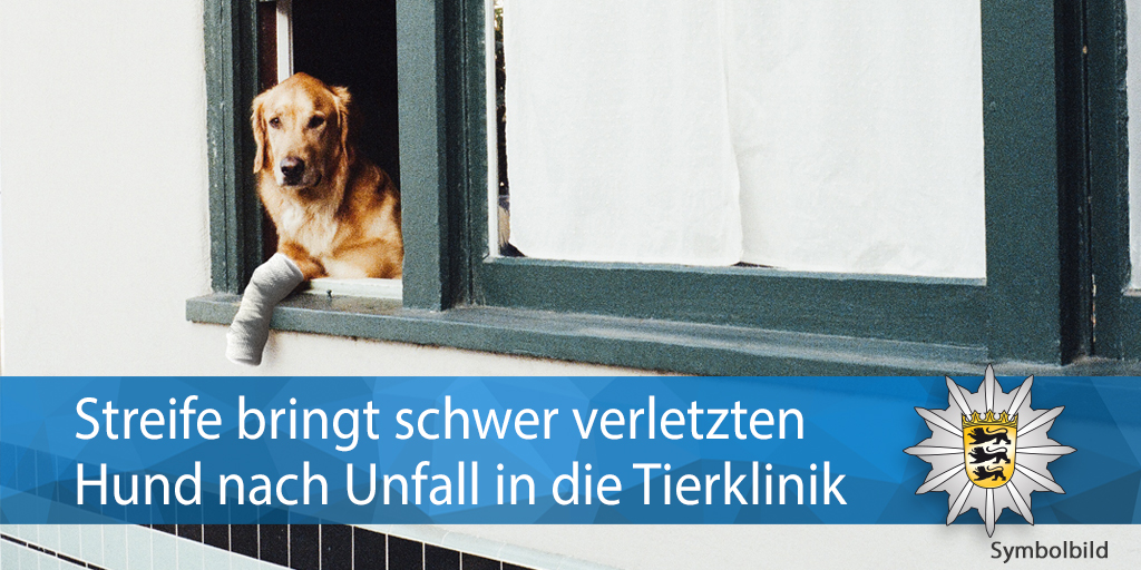 PolizeiRT's tweet photo. 🚓🐶🏥
Gestern lief ein ausgebüchster #Hund auf der #B10 bei #Reichenbach vor einen LKW.
#Esslinger Kollegen brachten den schwerverletzen #Mischling in eine #Tierklink, eine Streife vom @PolizeiUL übernahm die #Unfallaufnahme.
Alle Infos: https://t.co/oFV0u0PSBN https://t.co/yTKt6gd40Z